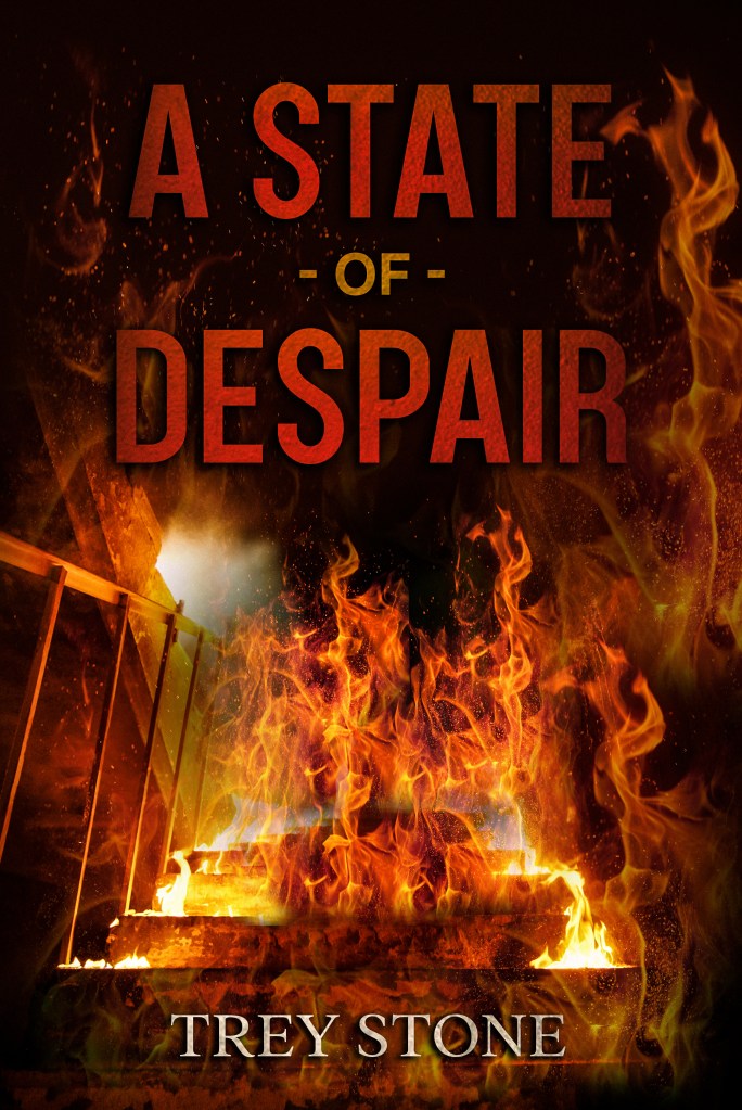 Book cover of A State of Despair Trey Stone